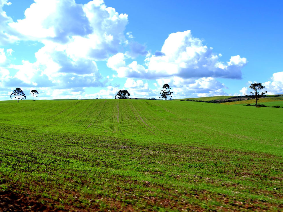 Ouro Verde / SC
