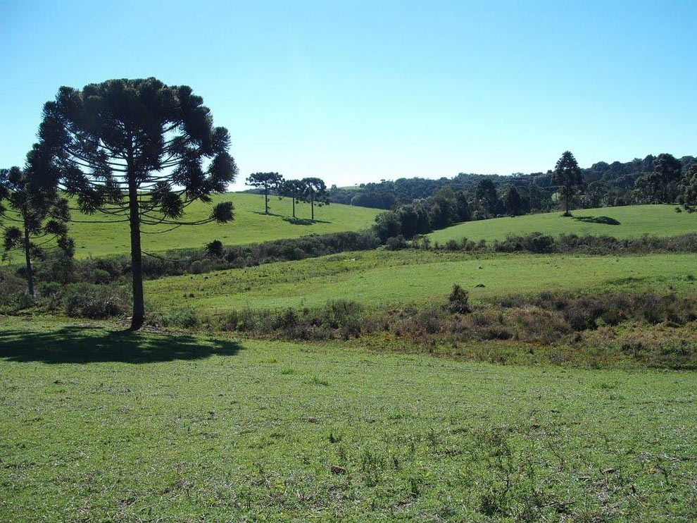 Água Santa / RS