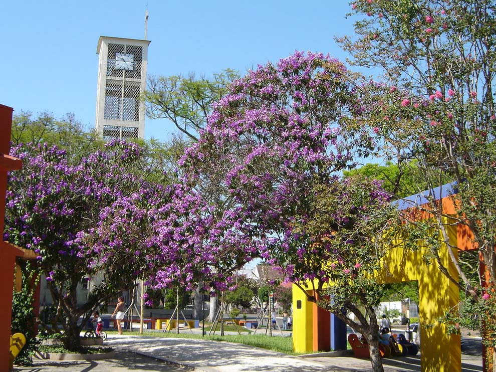 Sapiranga / RS